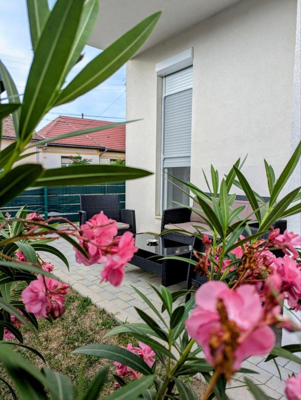 Gast Haus Apartment